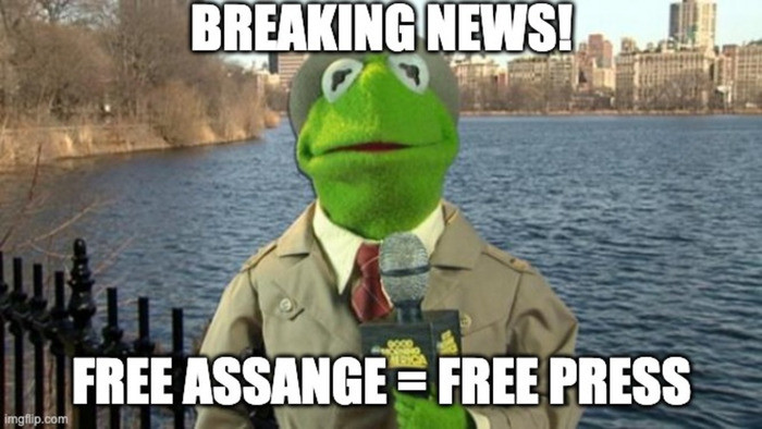 breaking_news_free-assange_equals_free-press_kermit.jpg