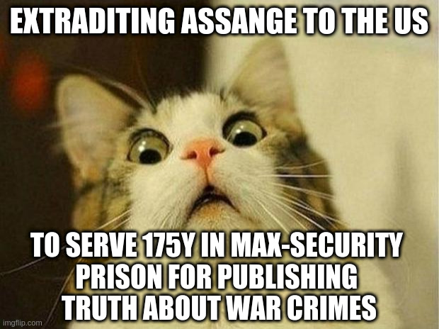 memes:extraditing_assange_for_publishing_truth-scared_cat.jpg