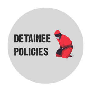 300x300-guanta-detainee.png