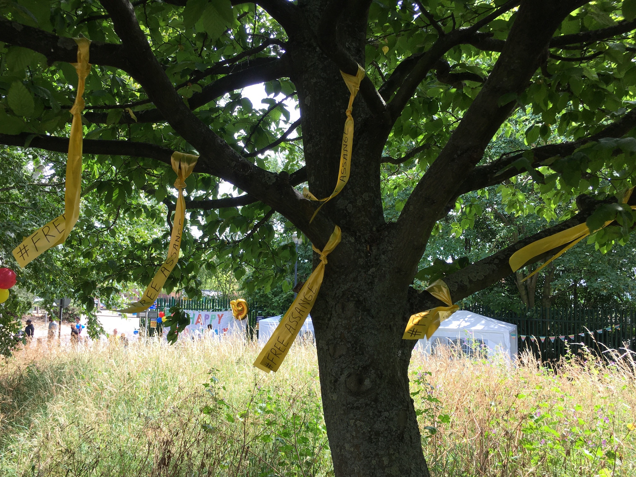 yellow_ribbons:yel-ribs-tree.jpg
